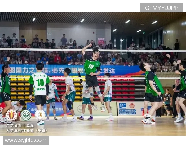 广州排球队的拼搏之路：一段不屈不挠的排球奋斗纪实