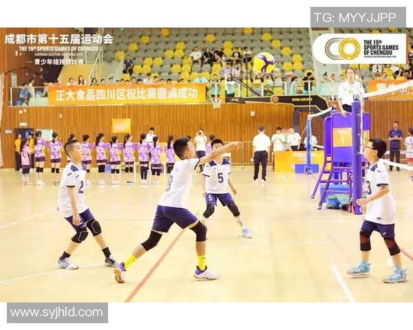 成都排球队技术分析与战术创新的深度探讨与展望