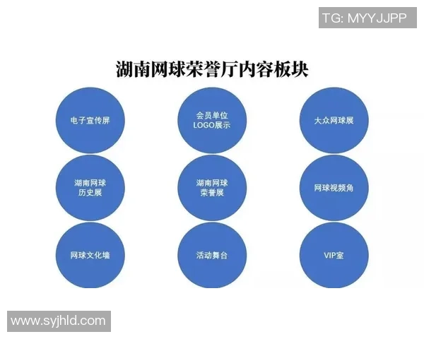 深入探讨上海网球队配合策略与战术对比分析
