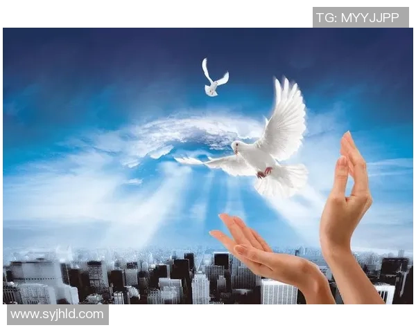 深度对话赵丽的排球人生与梦想追逐的心路历程